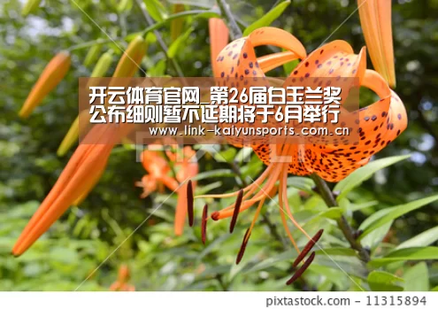 开云体育官网_第26届白玉兰奖公布细则暂不延期将于6月举行(图2) KAIYUN体育
