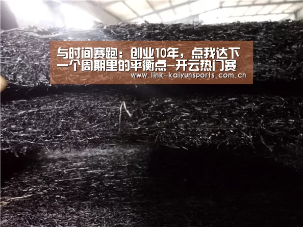 与时间赛跑:创业10年,点我达下一个周期里的平衡点-开云热门赛事(图1) 开云官方网站
