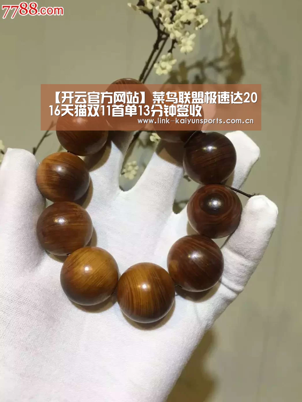 开云体育官网