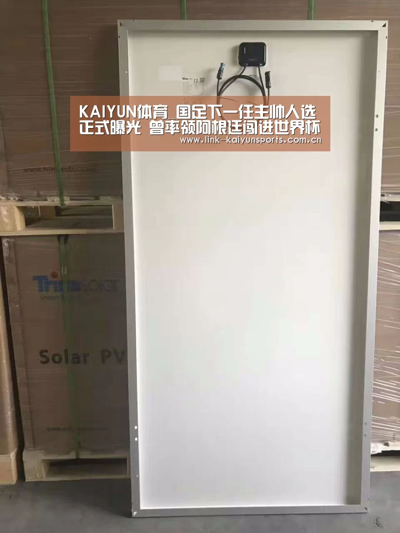 开云体育官网