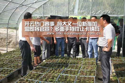开云热门赛事_恒大又一位新援加盟即将官宣?多面手特性让卡纳瓦罗如虎添翼(图1) 开云官方服务