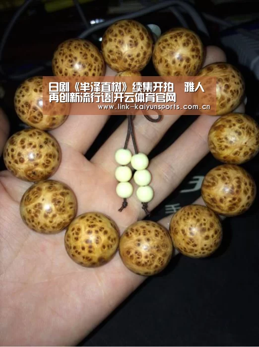 日剧《半泽直树》续集开拍堺雅人再创新流行语|开云体育官网(图1) 开云官方网站