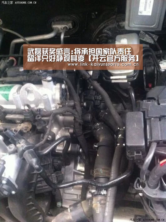 武磊获奖感言:将承担国家队责任 留洋只好静观其变【开云官方服务】(图4) KAIYUN体育