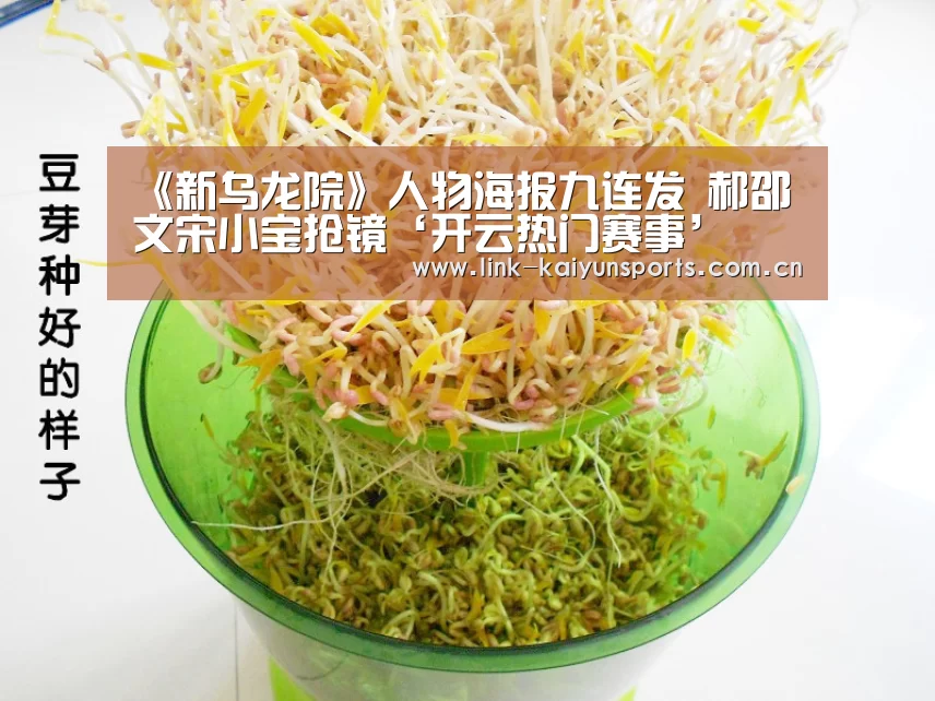 开云热门赛事